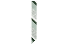 Load image into Gallery viewer, Silk Skinny Scarf - Patchwork Stripe Green