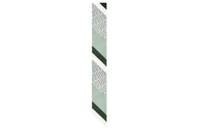 Load image into Gallery viewer, Silk Skinny Scarf - Patchwork Stripe Green
